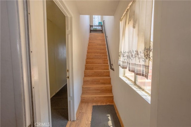 stairs with hardwood / wood-style flooring