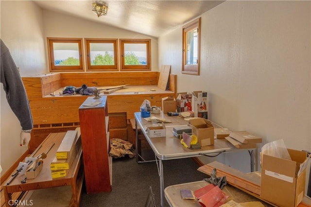 miscellaneous room with carpet and lofted ceiling