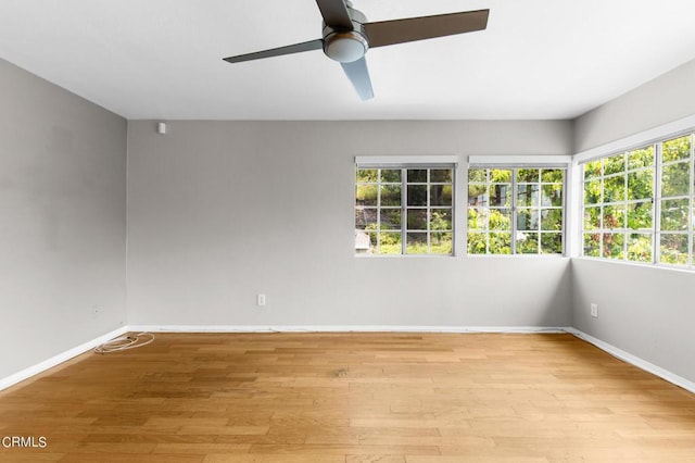 empty room featuring ceiling fan and light hardwood / wood-style floors