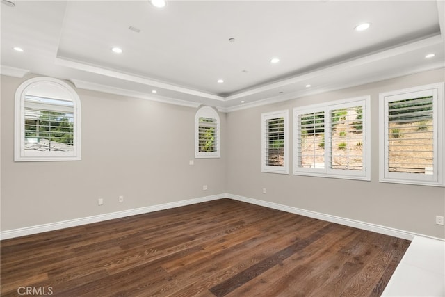 spare room with a raised ceiling and dark wood-type flooring