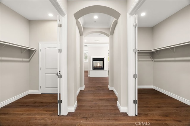 hallway featuring dark hardwood / wood-style flooring