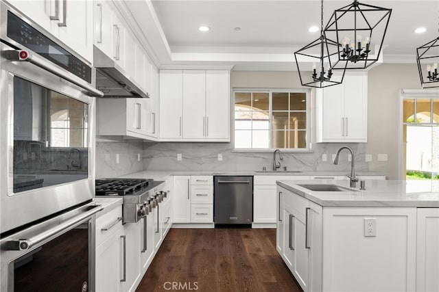 kitchen featuring white cabinetry, sink, stainless steel appliances, dark hardwood / wood-style flooring, and decorative backsplash