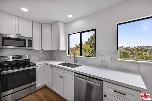 kitchen featuring plenty of natural light, stainless steel appliances, dark hardwood / wood-style flooring, and sink