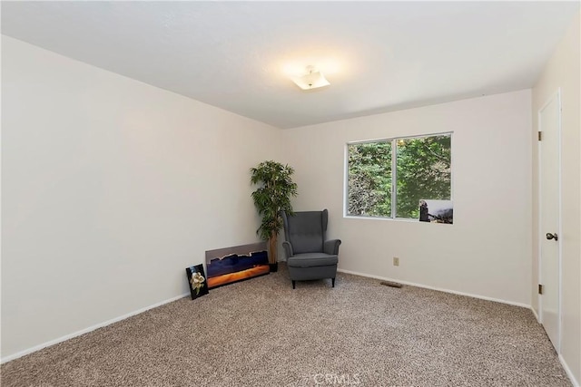 sitting room with carpet flooring