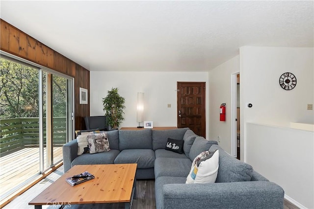 living room with wood walls and wood-type flooring