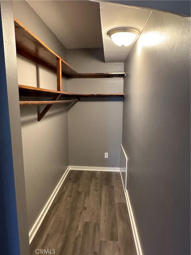 walk in closet featuring dark hardwood / wood-style floors