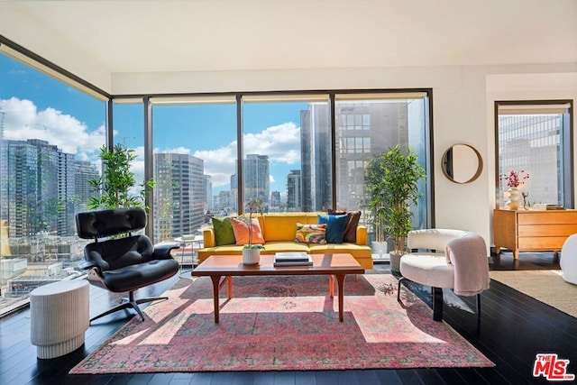 living room featuring hardwood / wood-style floors