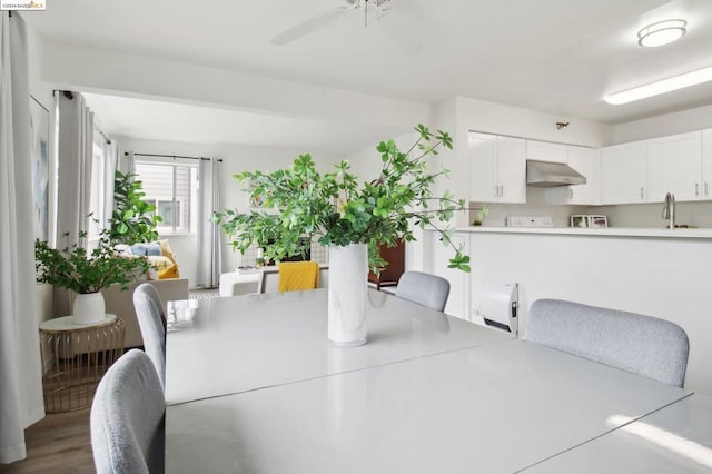 dining space featuring hardwood / wood-style flooring, ceiling fan, and sink