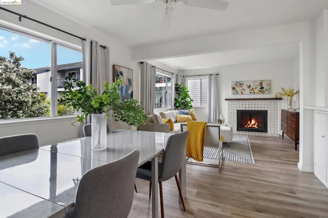 dining area with hardwood / wood-style flooring, ceiling fan, and a tiled fireplace