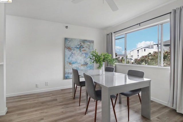 dining space featuring hardwood / wood-style floors and ceiling fan