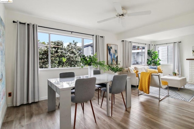 dining area with ceiling fan and wood-type flooring