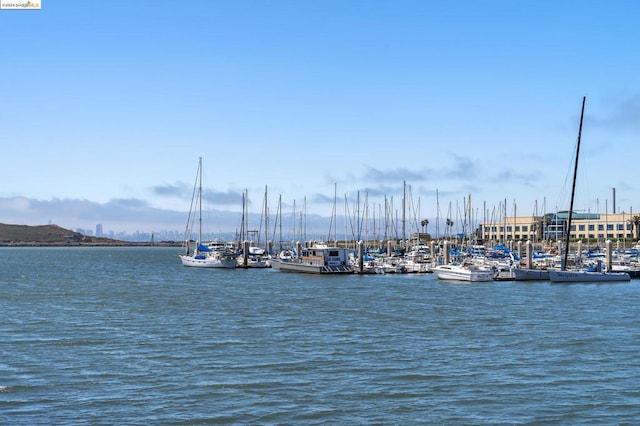 property view of water with a dock