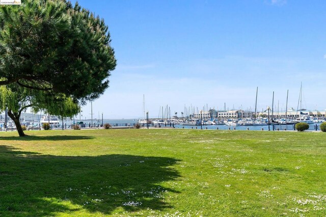 view of property's community featuring a water view and a lawn