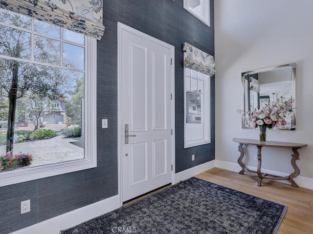 entryway featuring hardwood / wood-style flooring