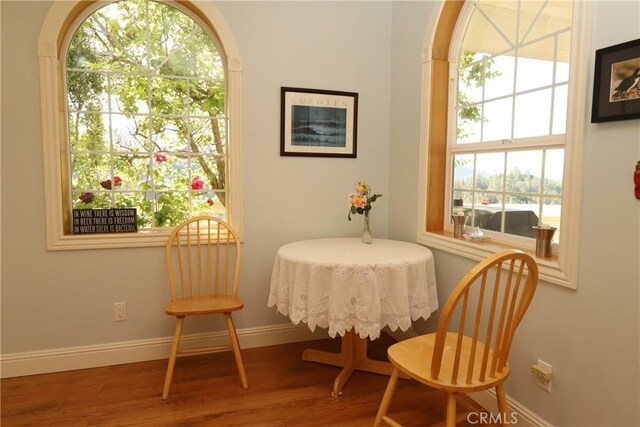 living area featuring hardwood / wood-style flooring