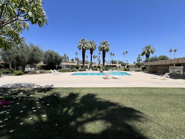 view of pool with a patio and a lawn