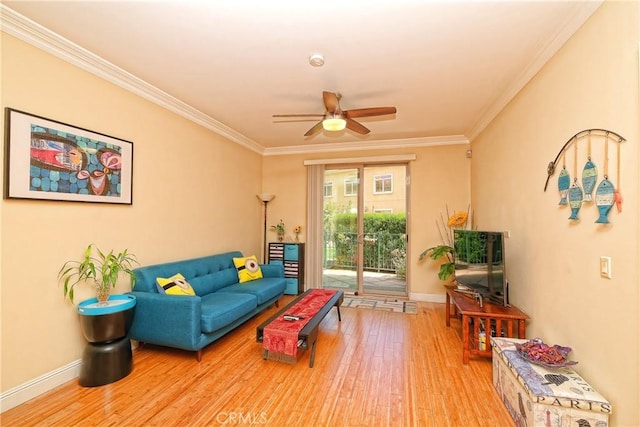 living room featuring ceiling fan, light wood-type flooring, and ornamental molding