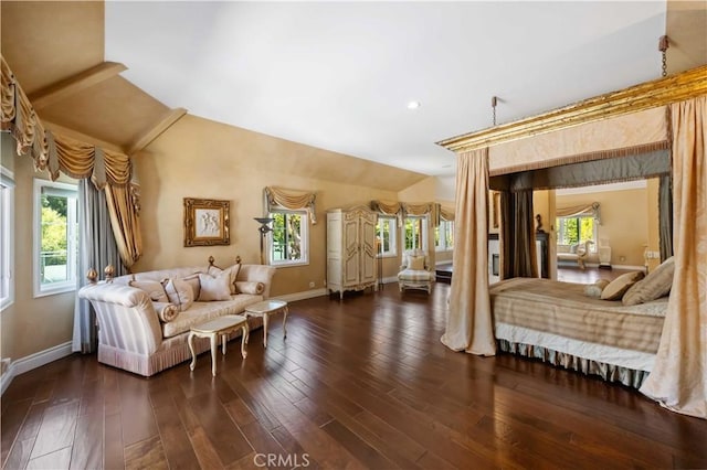 interior space with vaulted ceiling and dark hardwood / wood-style floors