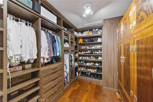 spacious closet featuring dark hardwood / wood-style flooring