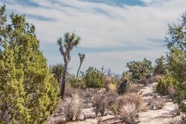 56600 Duarte St, Yucca Valley, CA 92284