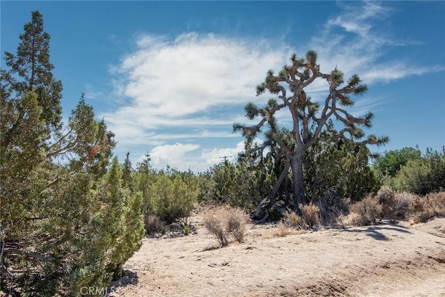 56600 Duarte St, Yucca Valley, CA 92284