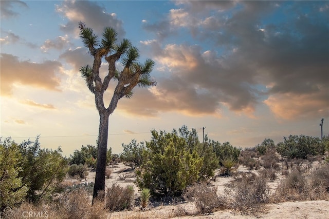 Listing photo 2 for 56600 Duarte St, Yucca Valley CA 92284