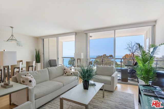 living room featuring light hardwood / wood-style floors and floor to ceiling windows