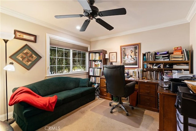 carpeted office with ornamental molding and a ceiling fan