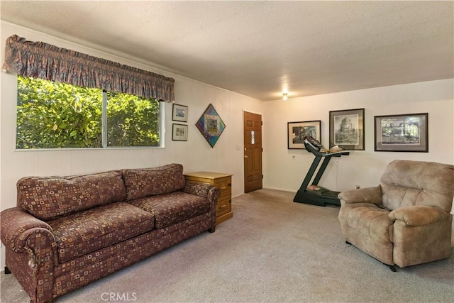 living room featuring carpet floors