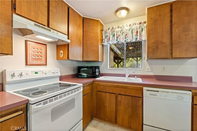 kitchen with white appliances, under cabinet range hood, brown cabinets, and a sink