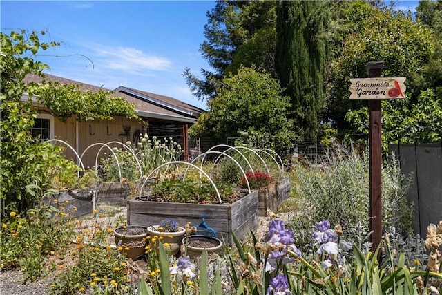 view of yard featuring a vegetable garden