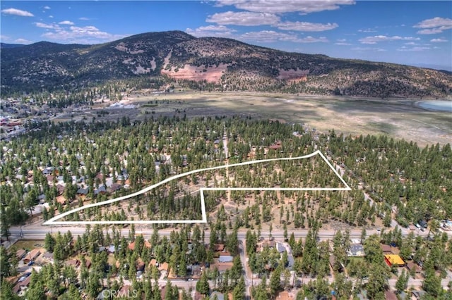 601 E Big Bear Blvd, Big Bear City CA, 92314 land for sale