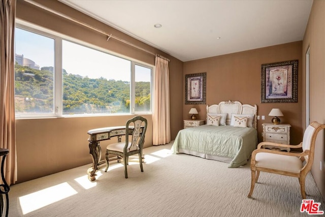 bedroom featuring carpet floors