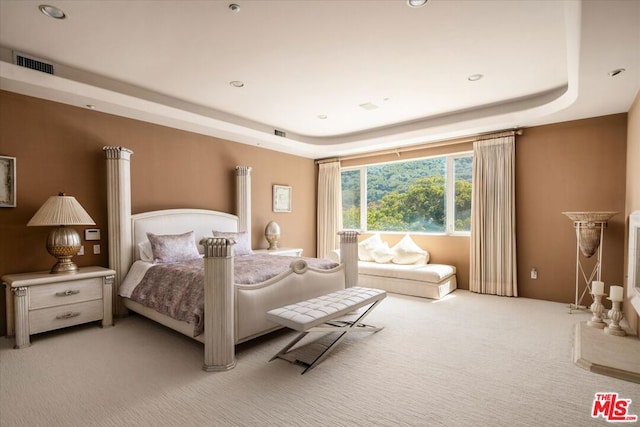 carpeted bedroom featuring a tray ceiling