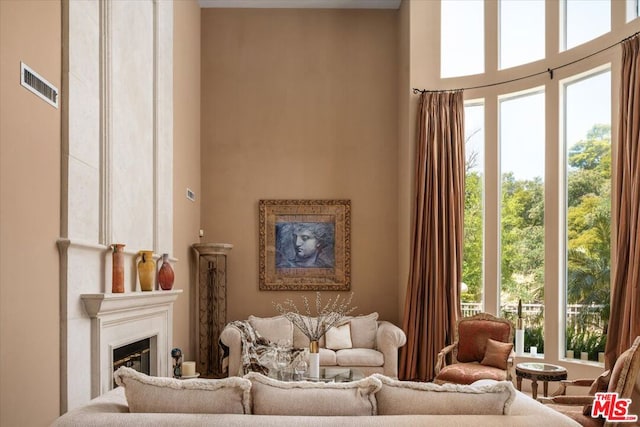 sitting room with a high ceiling and a wealth of natural light