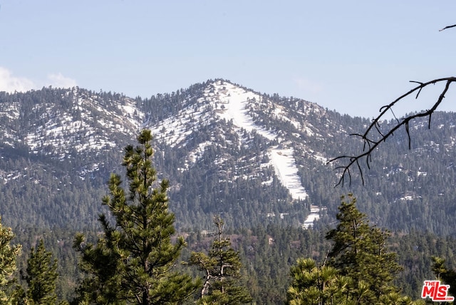 view of mountain feature