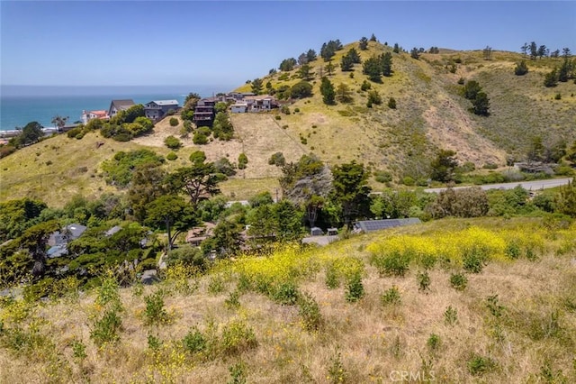 3048 Gilbert Ave, Cayucos, CA 93430 - photo 7