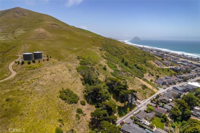 3048 Gilbert Ave, Cayucos, CA 93430 - photo 3