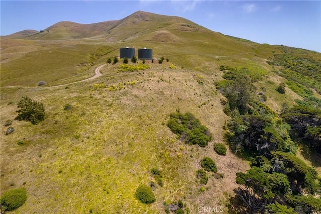 3048 Gilbert Ave, Cayucos, CA 93430 - photo 10