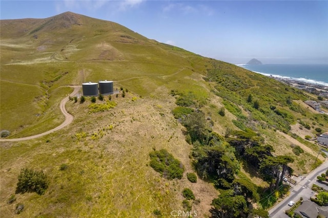 3048 Gilbert Ave, Cayucos, CA 93430 - photo 13