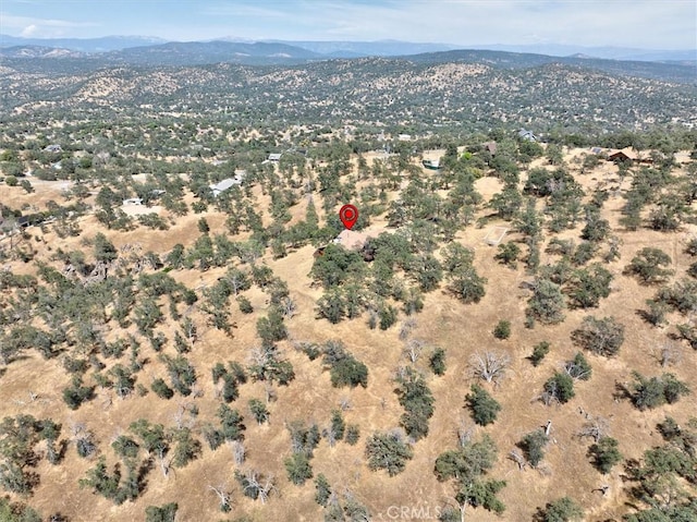 aerial view with a mountain view