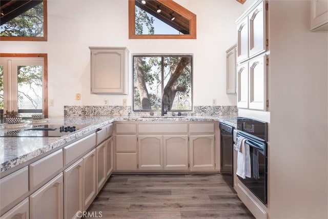 kitchen with light wood-type flooring, a wealth of natural light, a sink, and black appliances