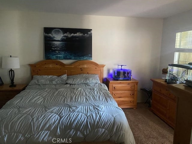 bedroom with carpet flooring