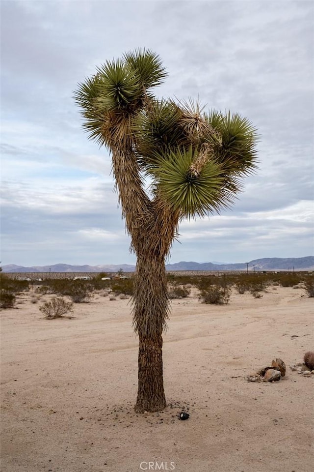 65154 Hoover Rd, Joshua Tree, CA 92252 - view of yard with a mountain view and view of desert