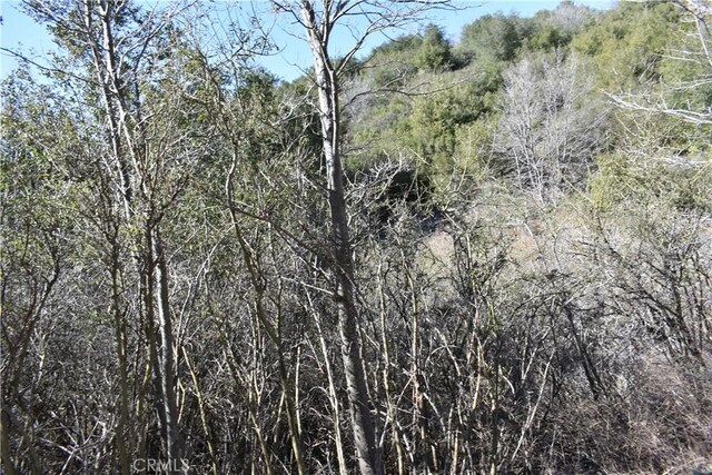 0 Oak Ln, Julian, CA 92036 - photo 18