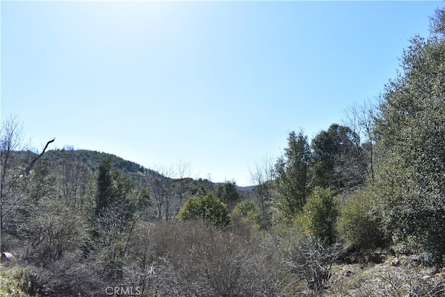 0 Oak Ln, Julian CA, 92036 land for sale