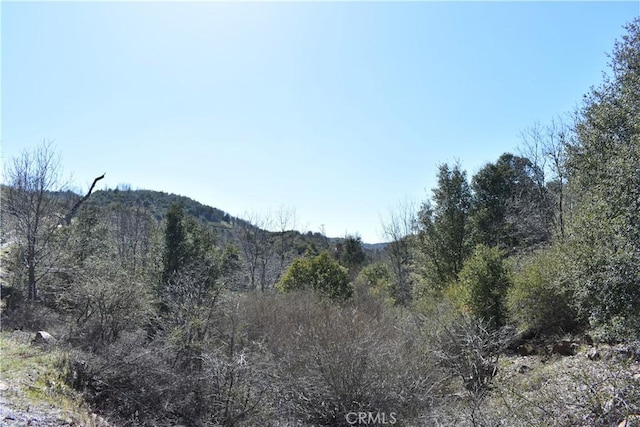 0 Oak Ln, Julian, CA 92036 - photo 3