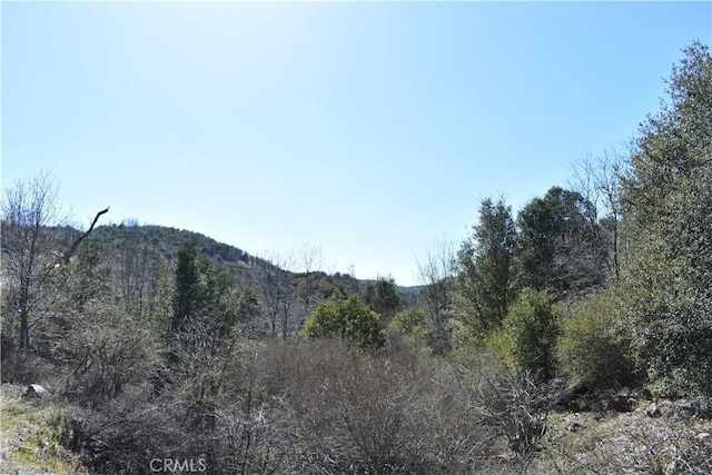0 Oak Ln, Julian, CA 92036 - photo 2