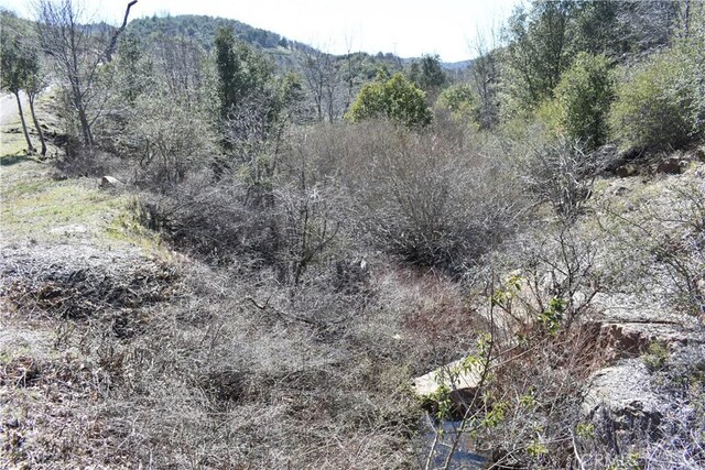 0 Oak Ln, Julian, CA 92036 - photo 5