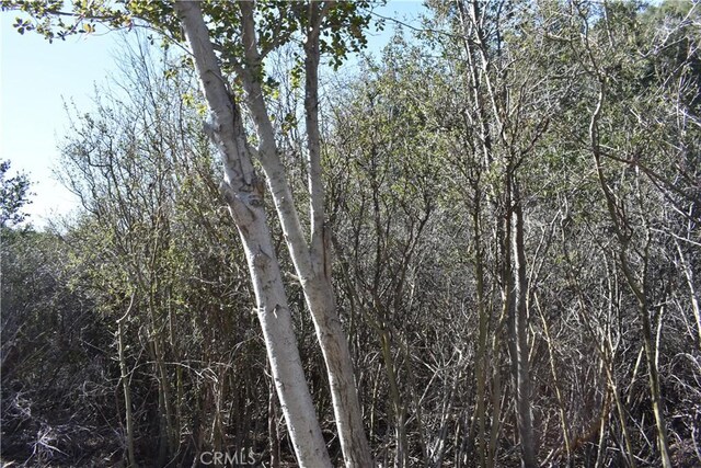 0 Oak Ln, Julian, CA 92036 - photo 21